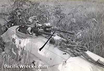 Click For Enlargement