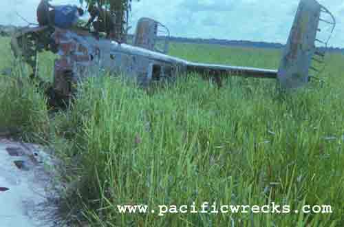 Click For Enlargement