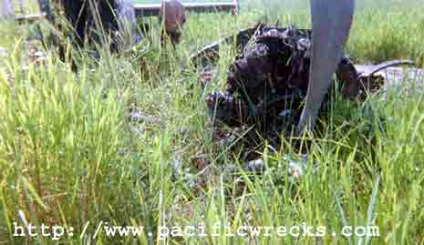 Click For Enlargement