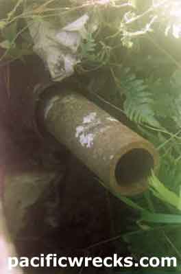 Click For Enlargement