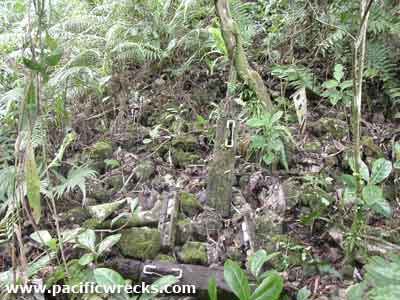 Click For Enlargement