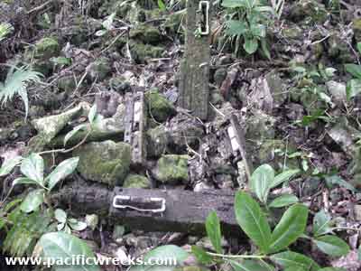 Click For Enlargement