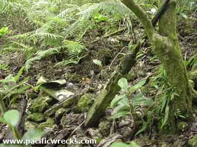 Click For Enlargement