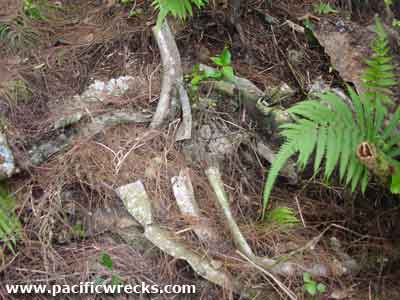 Click For Enlargement