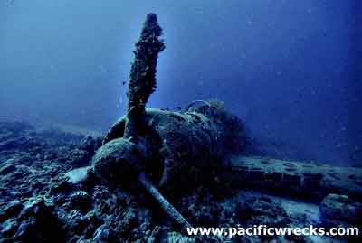 Click For Enlargement