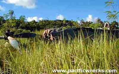 Click For Enlargement