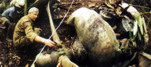 Click For Enlargement