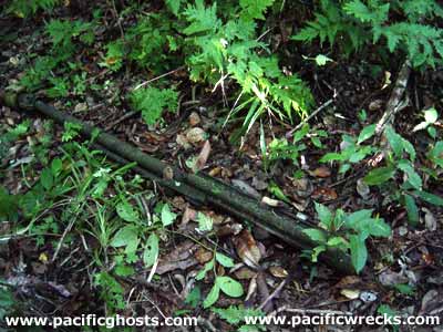 Click For Enlargement