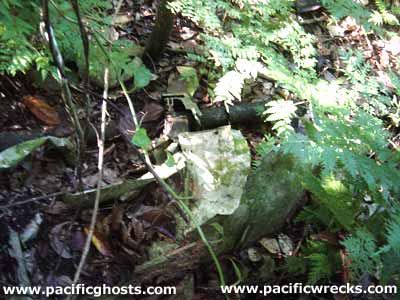 Click For Enlargement