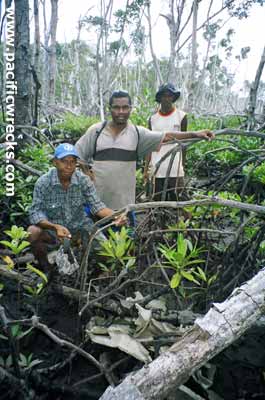 Click For Enlargement