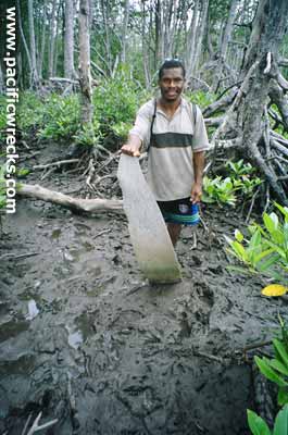 Click For Enlargement