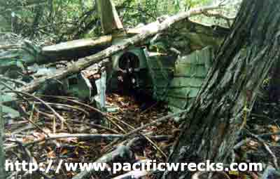 Click For Enlargement