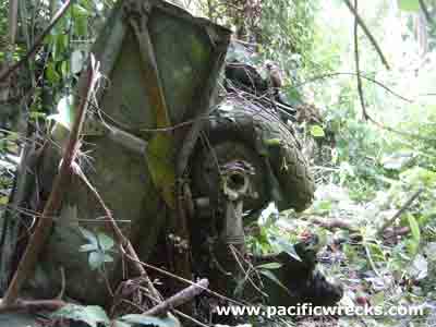 Click For Enlargement