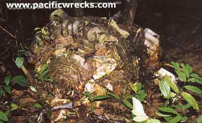 Click For Enlargement