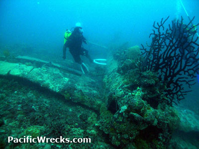 Click For Enlargement