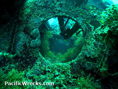 Click For Enlargement