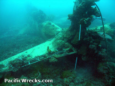 Click For Enlargement