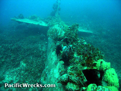 Click For Enlargement