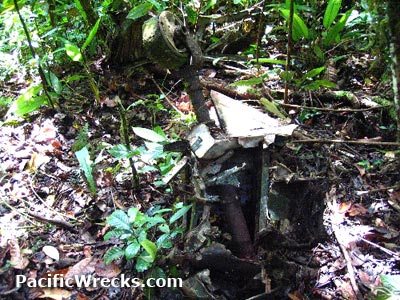 Click For Enlargement