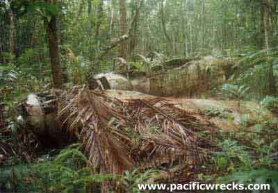 Click For Enlargement