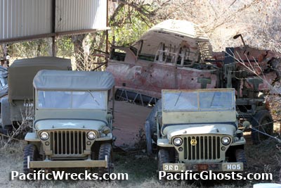 Click For Enlargement