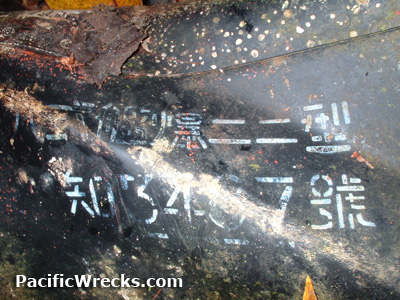 Click For Enlargement