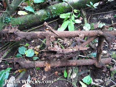 Click For Enlargement