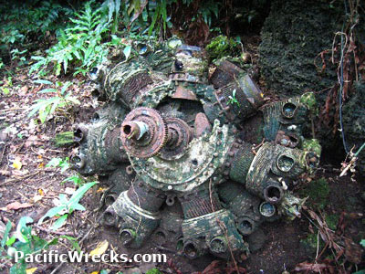 Click For Enlargement