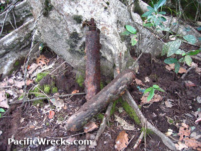 Click For Enlargement