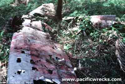 Click For Enlargement