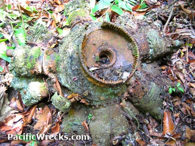 Click For Enlargement