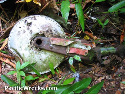 Click For Enlargement