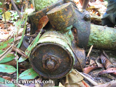 Click For Enlargement