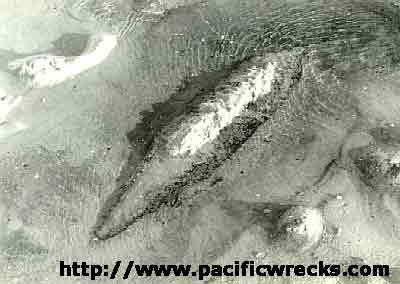 Click For Enlargement