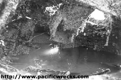 Click For Enlargement