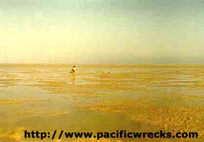 Click For Enlargement