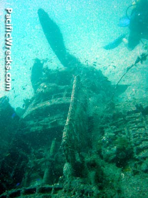 Click For Enlargement