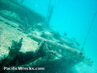 Click For Enlargement