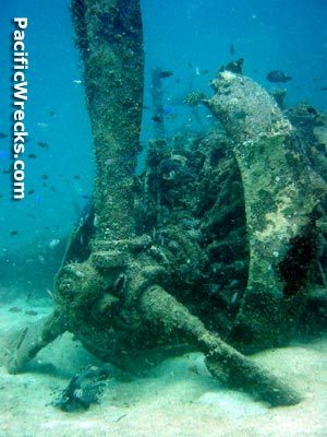 Click For Enlargement