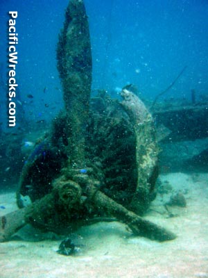 Click For Enlargement