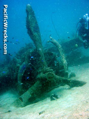 Click For Enlargement