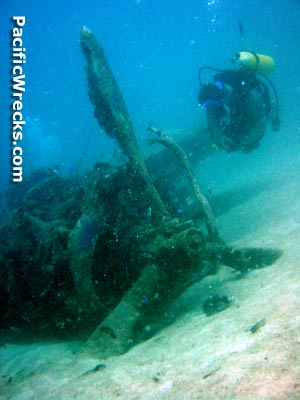 Click For Enlargement