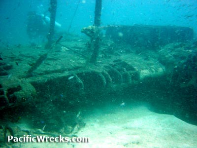 Click For Enlargement