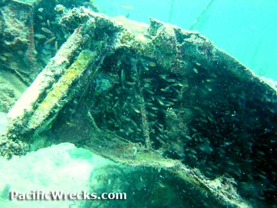 Click For Enlargement