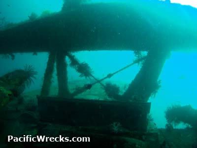 Click For Enlargement