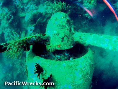 Click For Enlargement