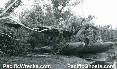 Click For Enlargement