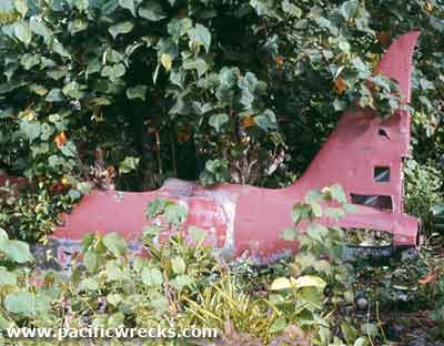 Click For Enlargement