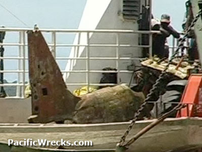 Click For Enlargement