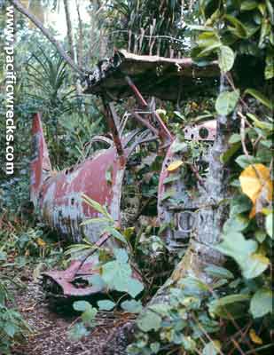 Click For Enlargement